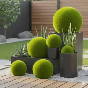 Dekorative Moosbälle als gartendeko moos künstlich pflegeleicht in schwarzen Kübeln.