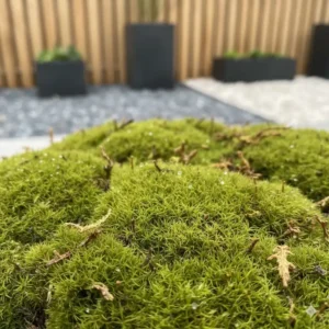 Detailansicht der Textur: gartendeko moos künstlich pflegeleicht und täuschend echt.